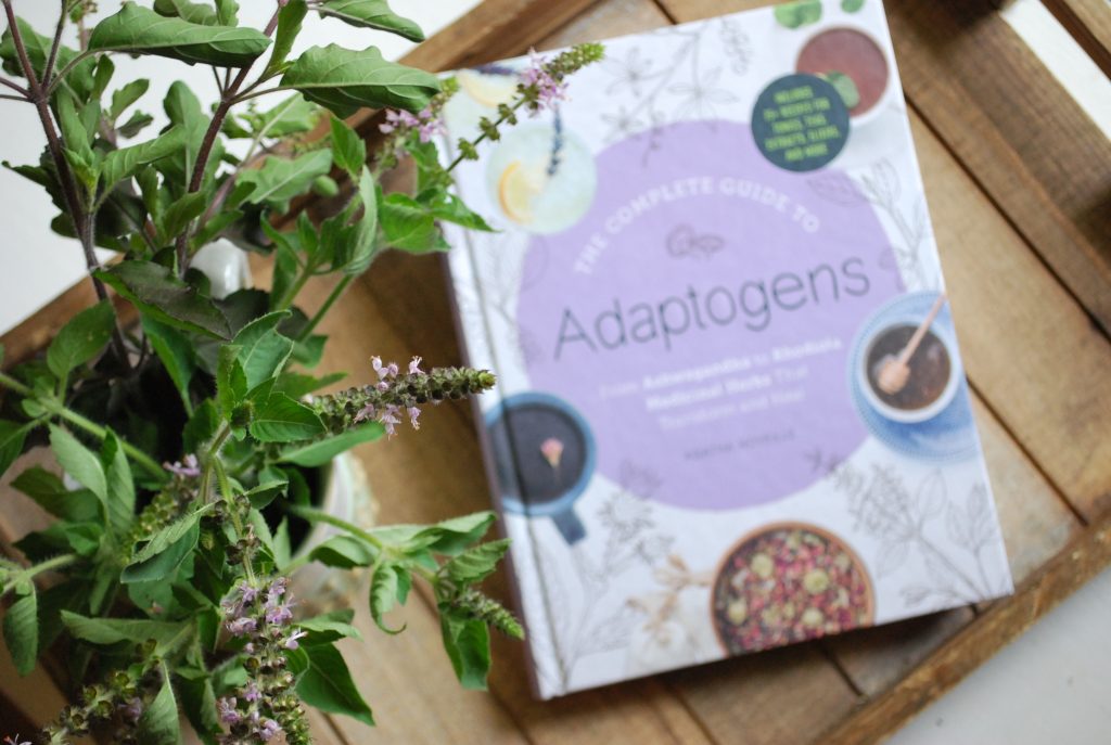 A copy of the Adaptogens recipe book on a tray with fresh tulsi.
