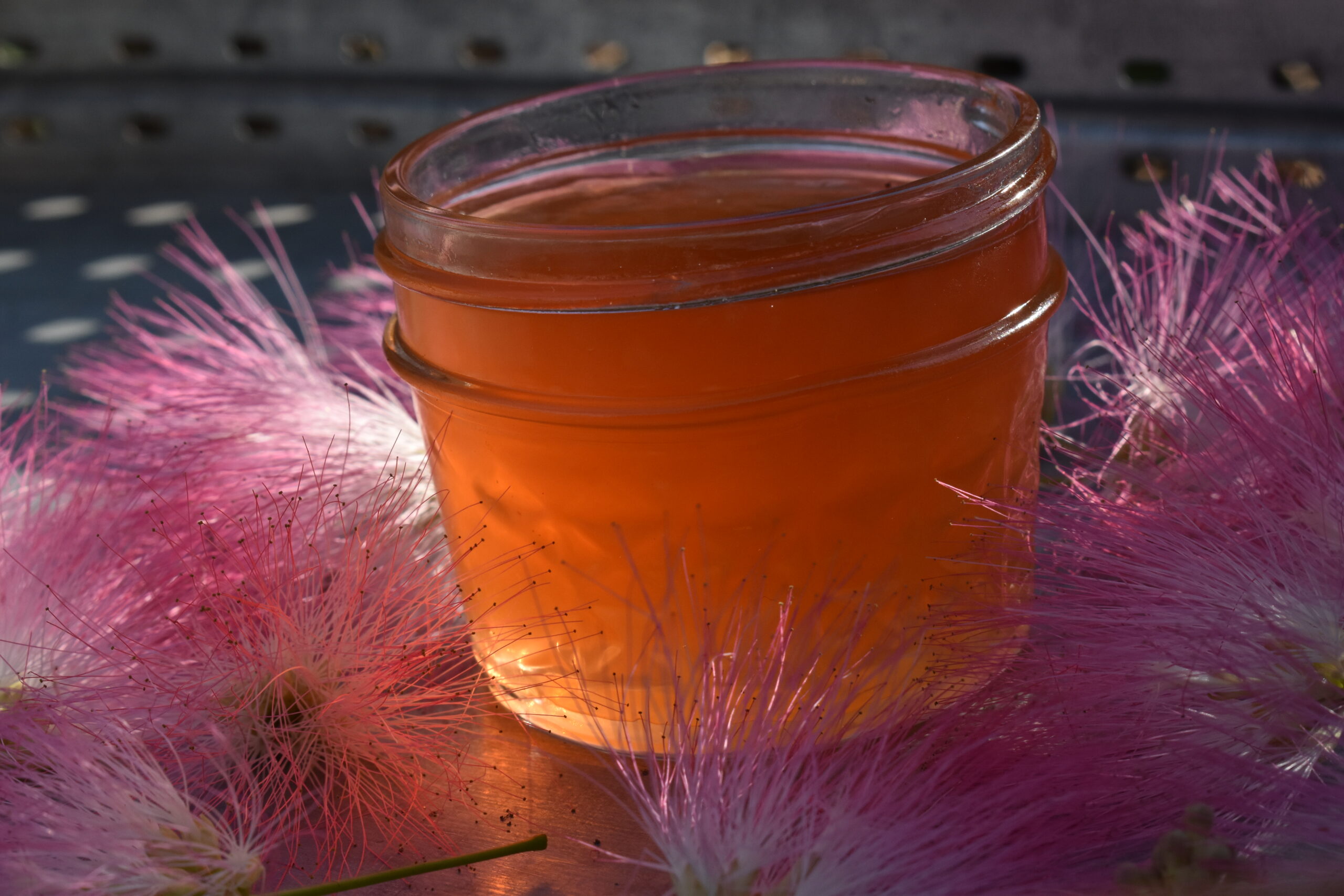 Mimosa Flower Jelly Recipe Teacup Alchemy